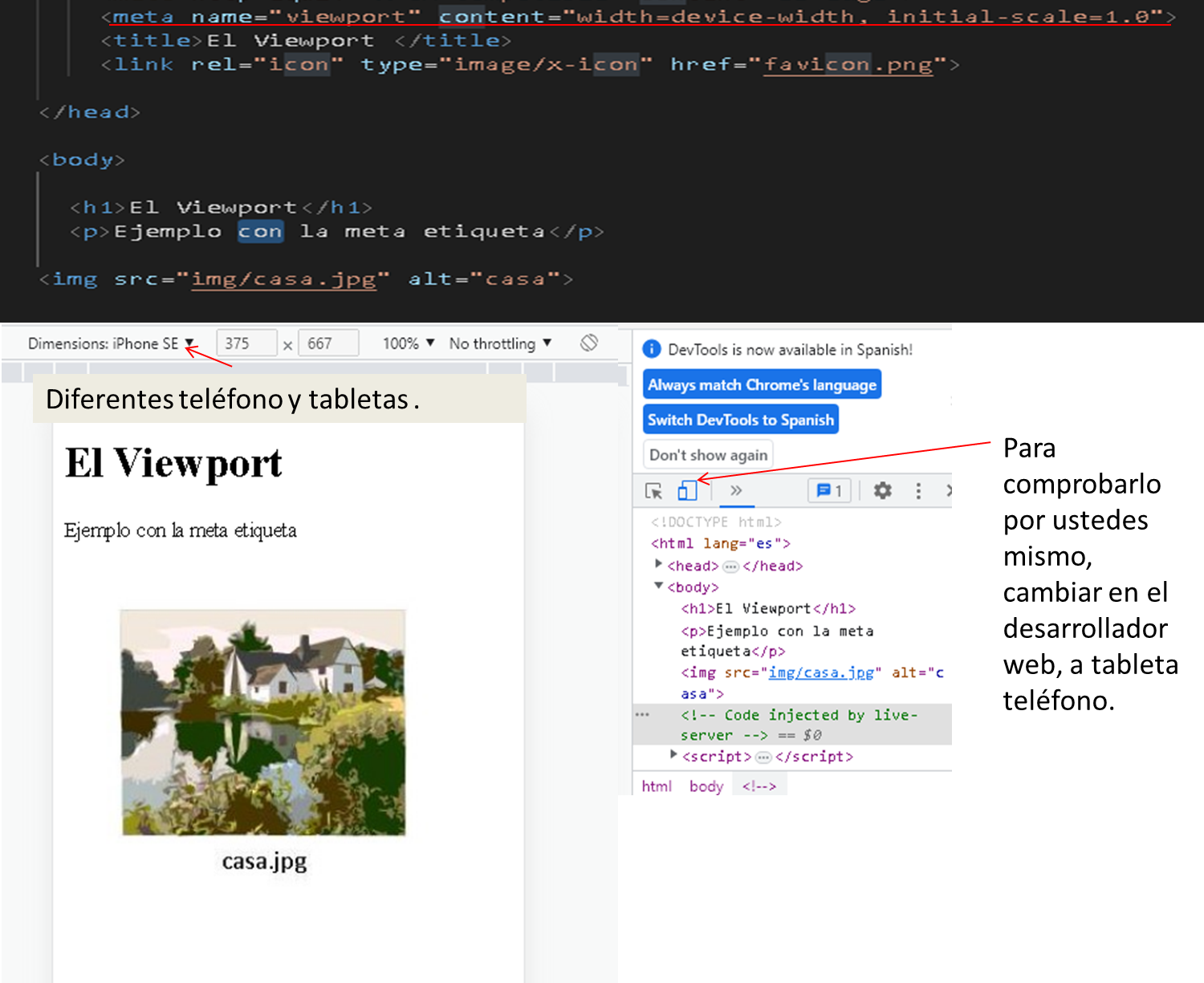 Ejemplo Viewport