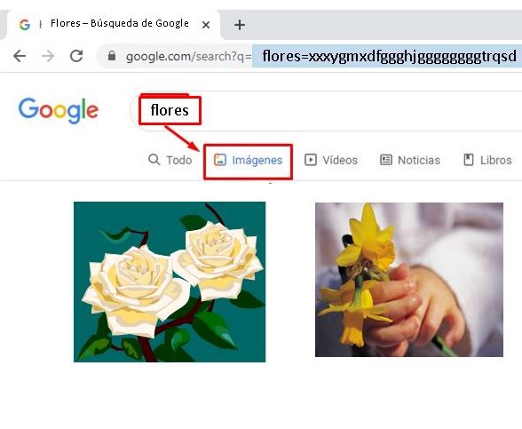 flores