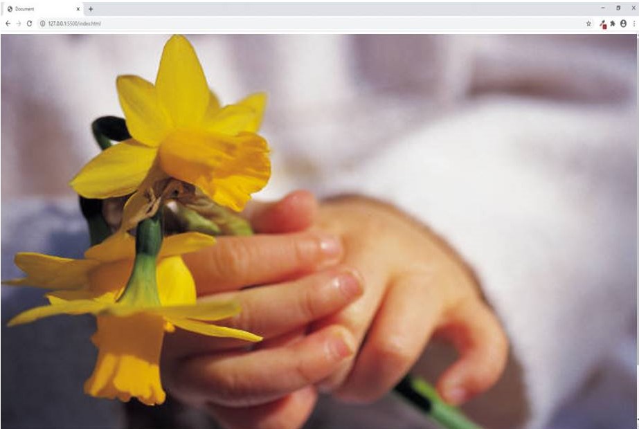 flores