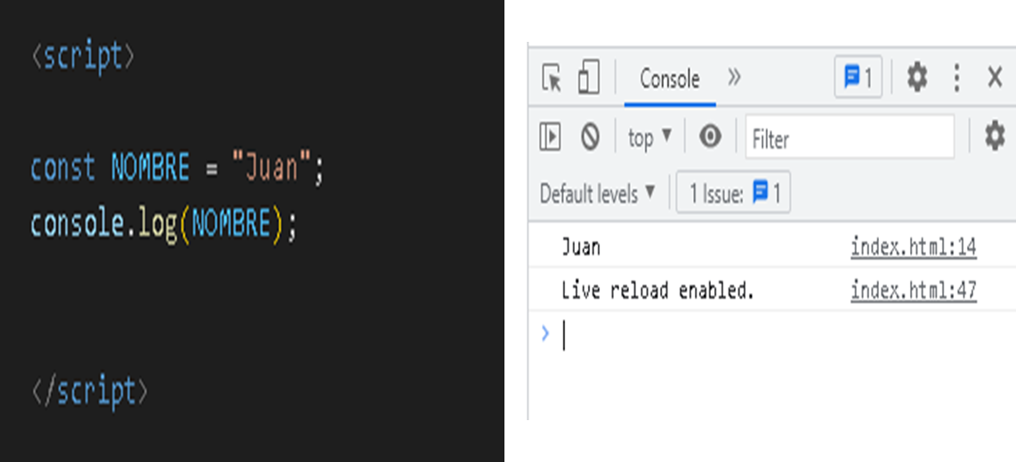 JavaScript